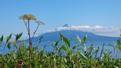 礼文島に行きました_b0087338_2175367.jpg