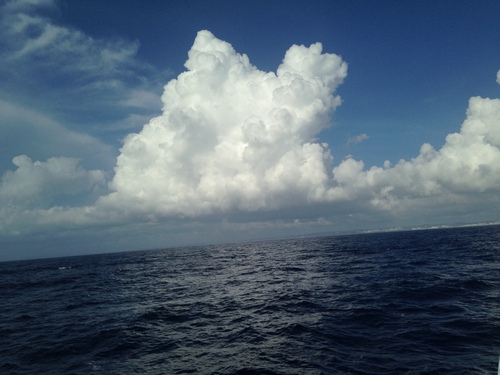 はじめての沖縄旅行4_a0267942_12351986.jpg
