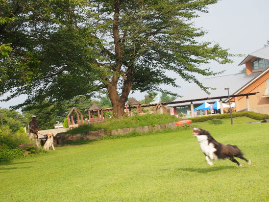 b0268454_21405929.jpg