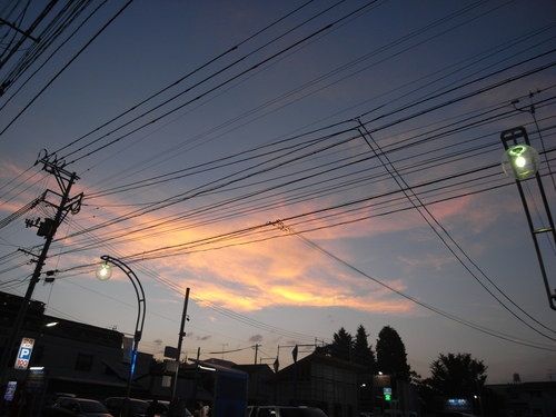 e0140354_188458.jpg