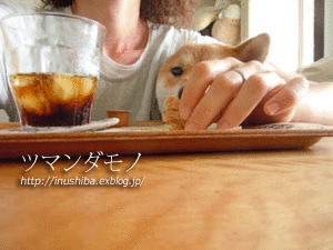 a0286855_14454935.gif