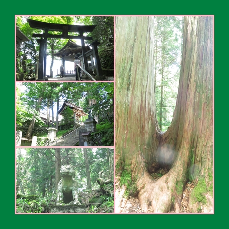 太陽の寺、三峯神社、西沢渓谷 へ_b0252555_23205490.jpg