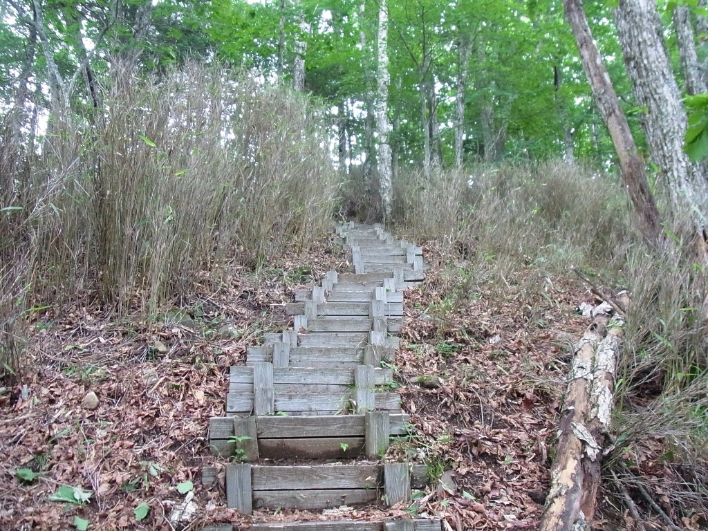 2014/07/13　牛奥ノ雁ヶ腹摺山 小金沢山　天狗棚山　熊沢山　親不知ノ頭　妙見ノ頭　大菩薩嶺　序編_d0233770_23382622.jpg