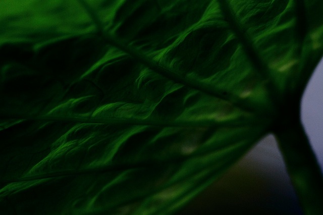 d0255874_0133589.jpg