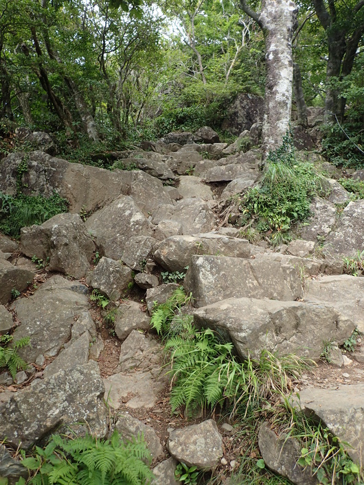 筑波山登頂成功!!_f0193680_11113399.jpg