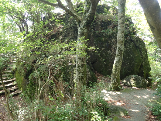 筑波山登頂成功!!_f0193680_11125214.jpg