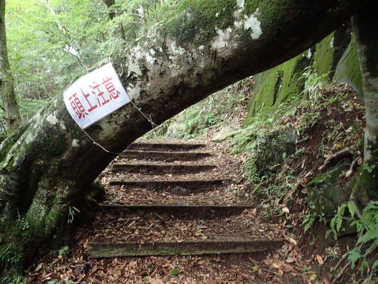 筑波山登頂成功!!_f0193680_11142681.jpg