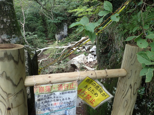 筑波山登頂成功!!_f0193680_11145621.jpg