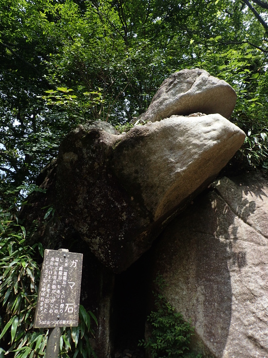 筑波山登頂成功!!_f0193680_11202164.jpg