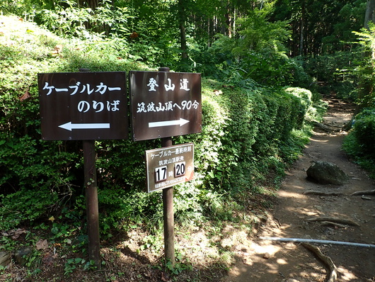 筑波山登頂成功!!_f0193680_112135.jpg