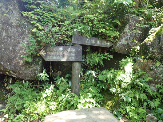 筑波山登頂成功!!_f0193680_1122011.jpg