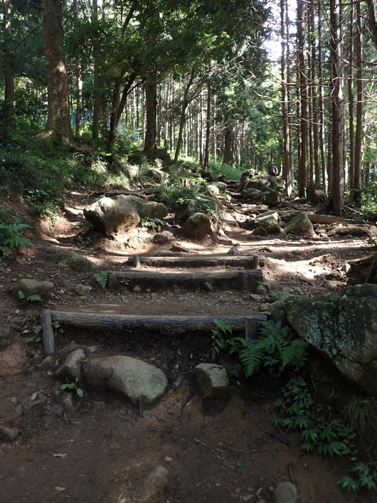 筑波山登頂成功!!_f0193680_113269.jpg