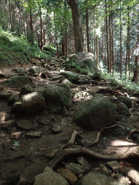 筑波山登頂成功!!_f0193680_113412.jpg