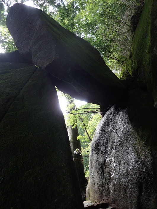 筑波山登頂成功!!_f0193680_11343096.jpg