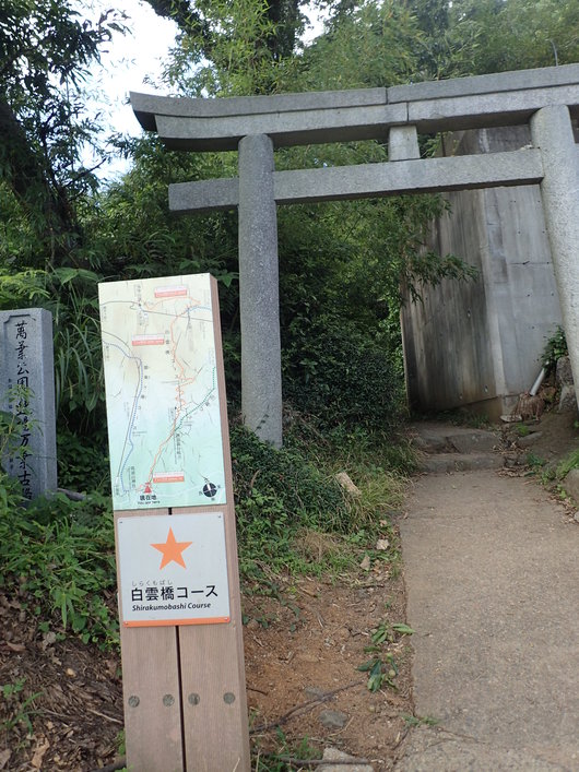 筑波山登頂成功!!_f0193680_11392992.jpg