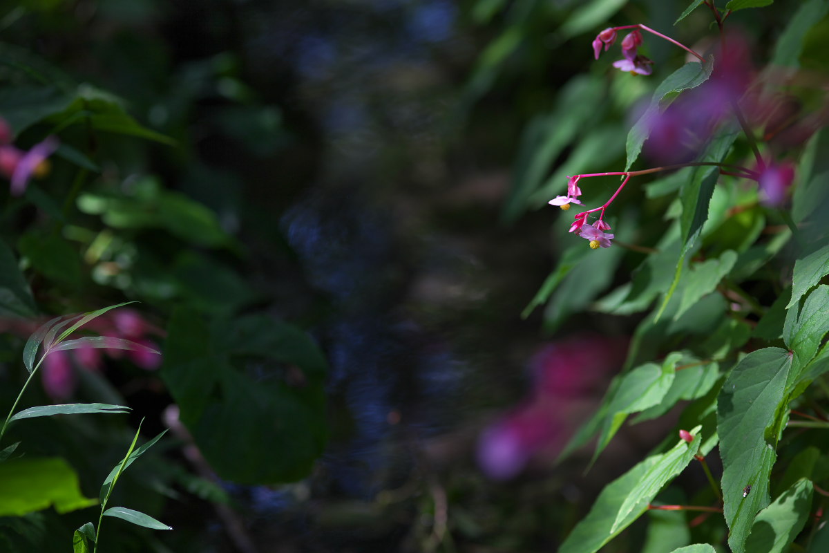 a0083081_13383299.jpg