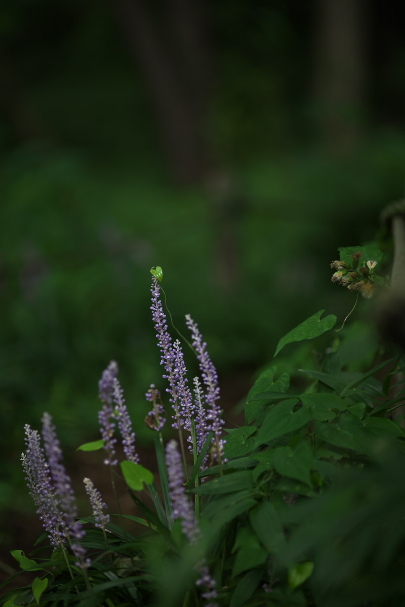 a0083081_13392432.jpg