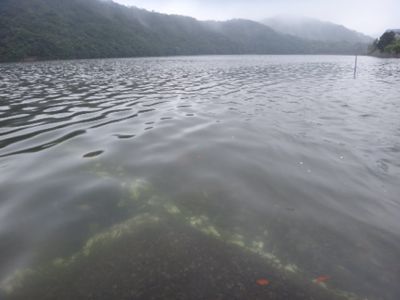b0343681_045978.jpg