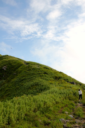 夏休みの旅行　その２　稚内から利尻島へ〜めっちゃ頑張るやん衆を見る_b0142688_08344841.jpg