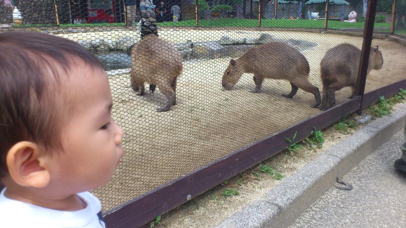大分旅行 その② ~地獄めぐり編~_e0326688_1094049.jpg