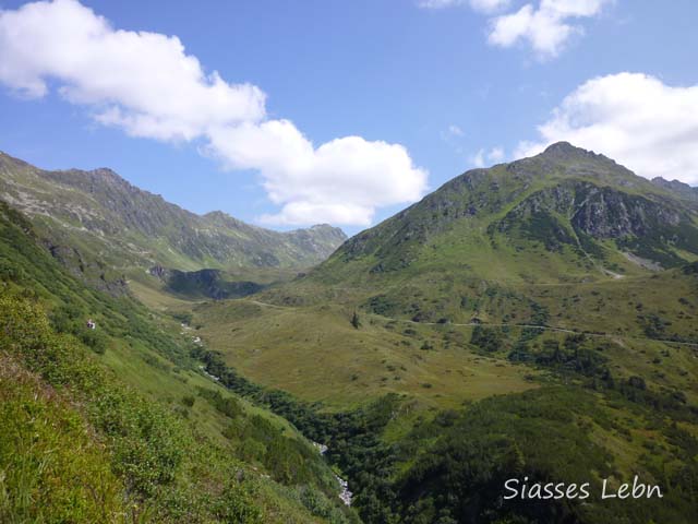 e0088895_4361884.jpg