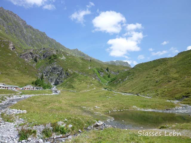e0088895_4452921.jpg