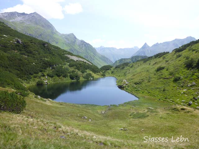 e0088895_4502129.jpg