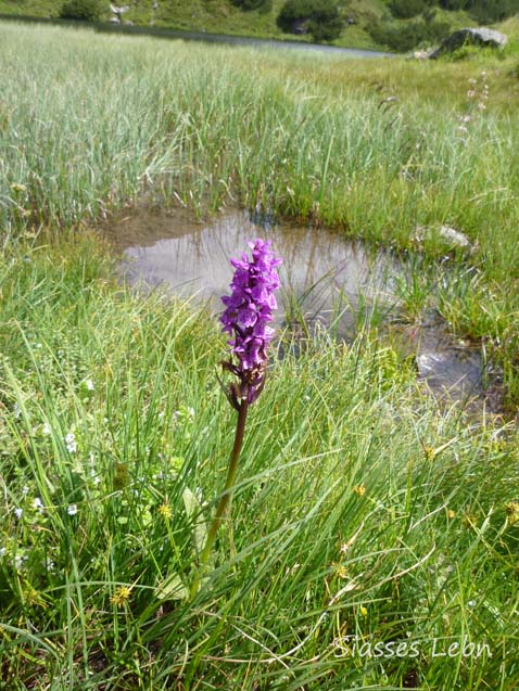 e0088895_4511550.jpg