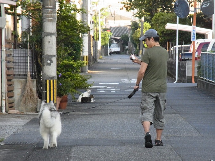 見つめて見つめて(*^_^*)_c0049299_2151445.jpg