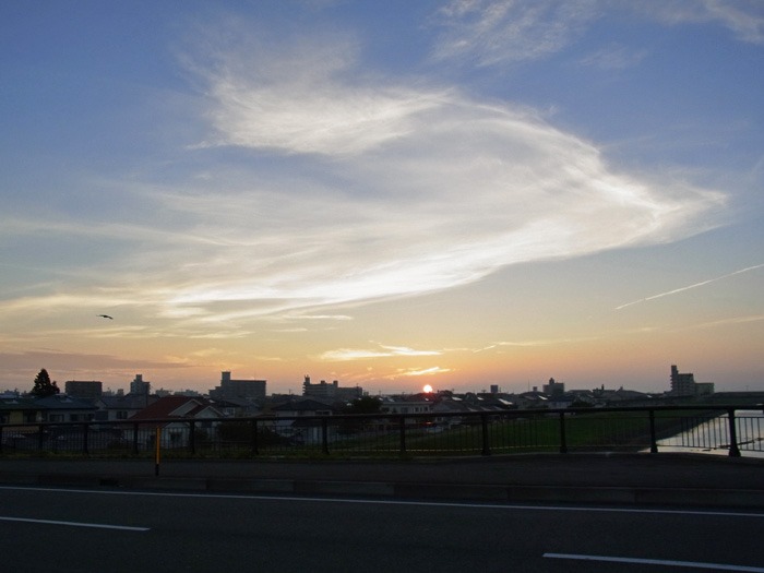 見つめて見つめて(*^_^*)_c0049299_2152189.jpg