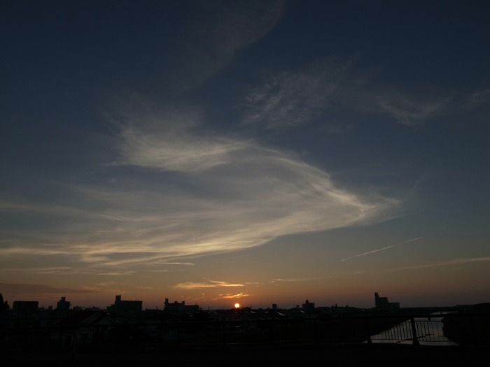 見つめて見つめて(*^_^*)_c0049299_21523374.jpg