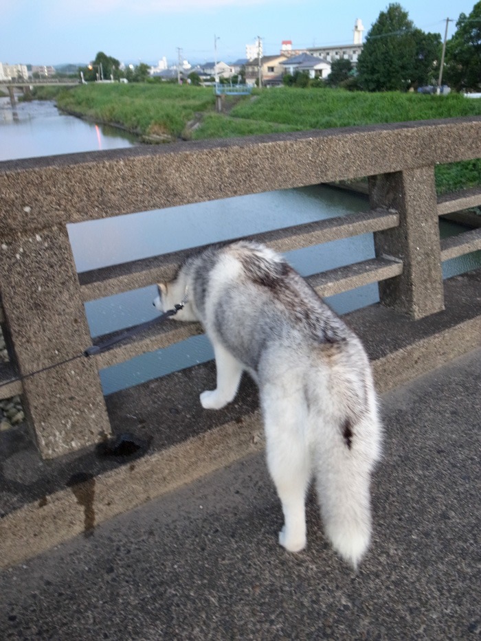 見つめて見つめて(*^_^*)_c0049299_21523955.jpg