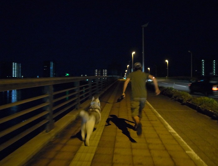 見つめて見つめて(*^_^*)_c0049299_21524340.jpg