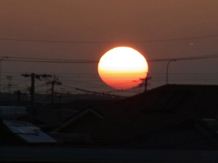 見つめて見つめて(*^_^*)_c0049299_2152659.jpg