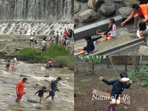 b0162000_05374960.gif