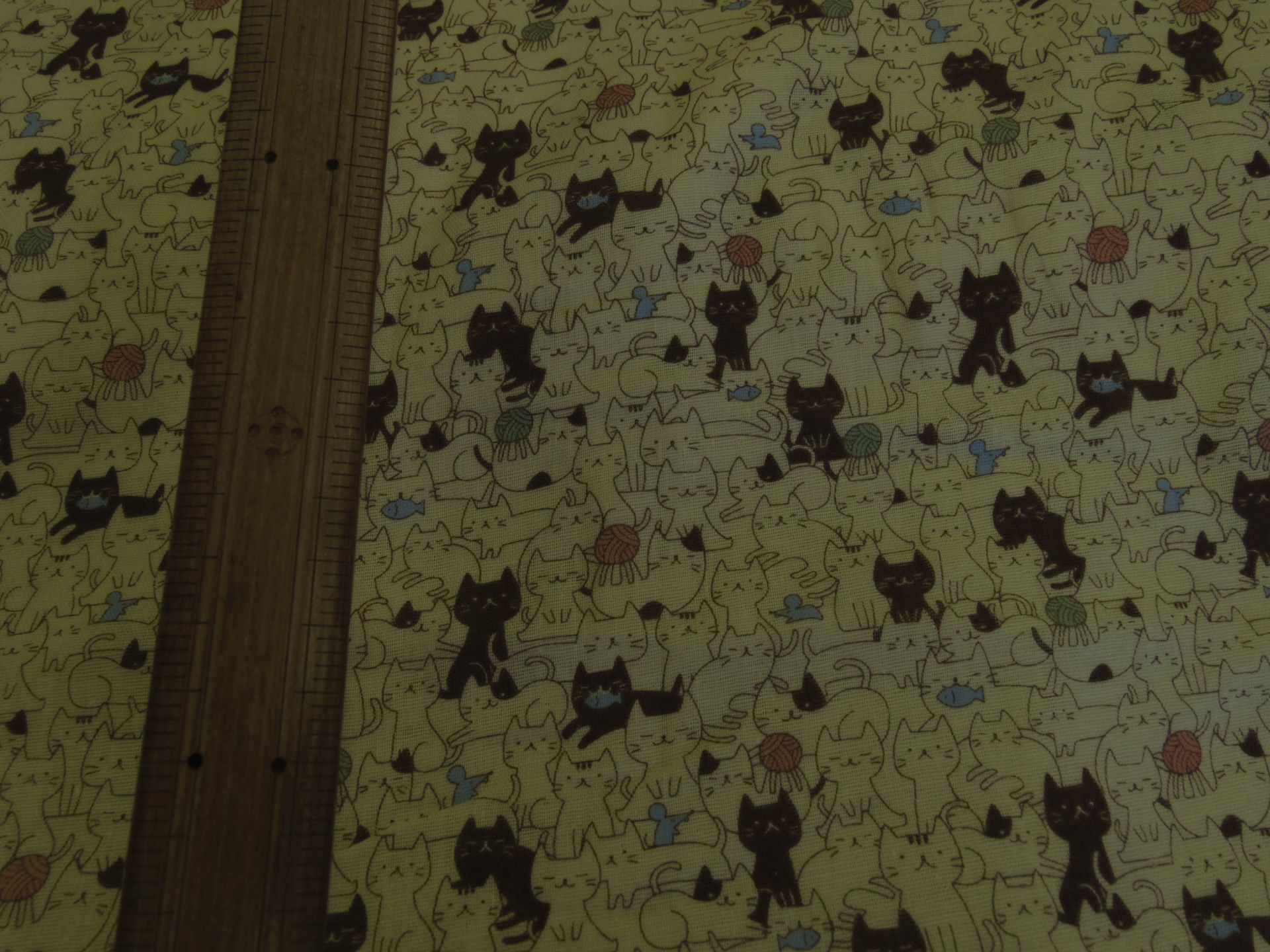 ねっこねこ柄の布 鳥柄の布_d0156706_18205056.jpg