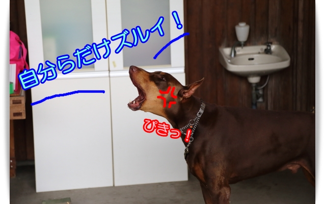 e0100007_21263472.jpg