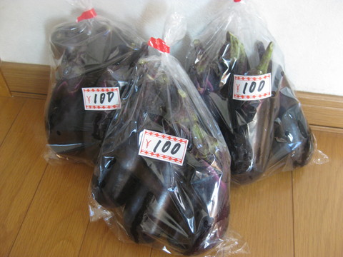 b0183111_8365250.jpg