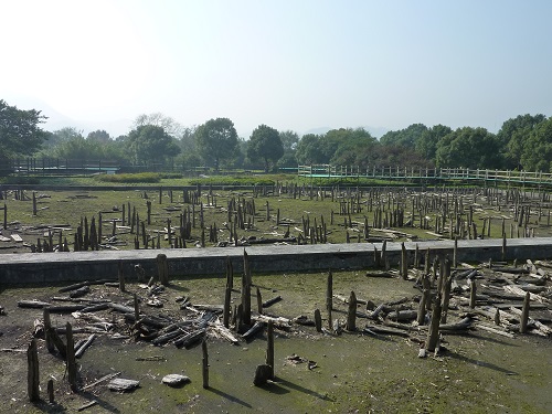 31.河姆渡遺跡 最古の水稲栽培遺跡_e0309314_20543333.jpg
