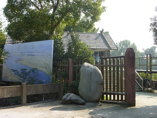 31.河姆渡遺跡 最古の水稲栽培遺跡_e0309314_20545296.jpg