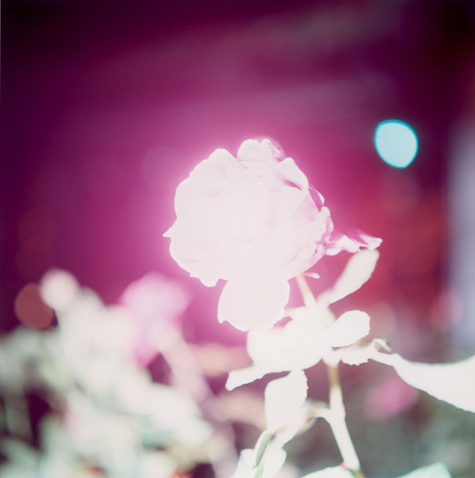 展覧会「これからの写真」_b0187229_16362913.png