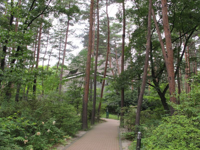 ヤマユリとカサブランカ_f0076731_16415853.jpg