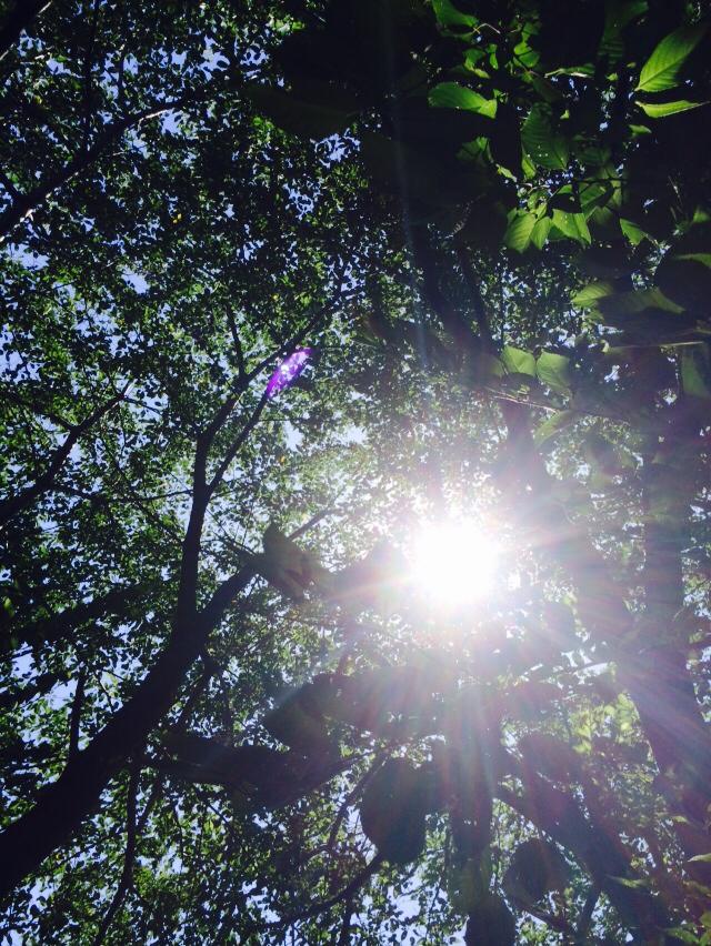 【東京散策2014夏～ぶらり谷根千お散歩編～】とルルルの近況報告_c0289939_11250155.jpg