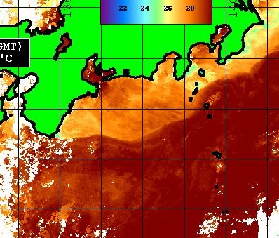 志摩遠州灘の水温が上がってきた【カジキ・マグロトローリング】_f0009039_0573556.jpg