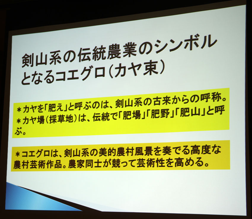 阿波剣山系の伝統農業を世界農業遺産に-04♪_d0058941_20152533.jpg