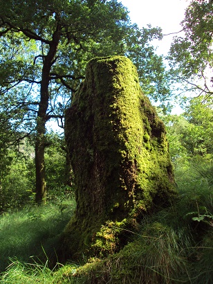 e0010856_25856.jpg