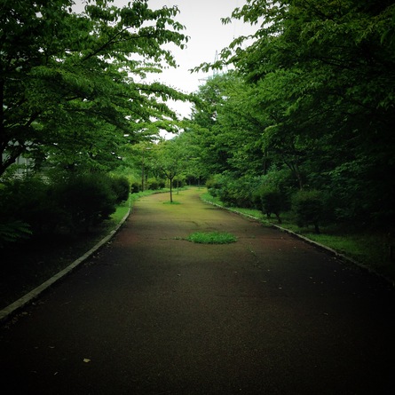 ちょっと雰囲気な道♪_a0139657_1515451.jpg