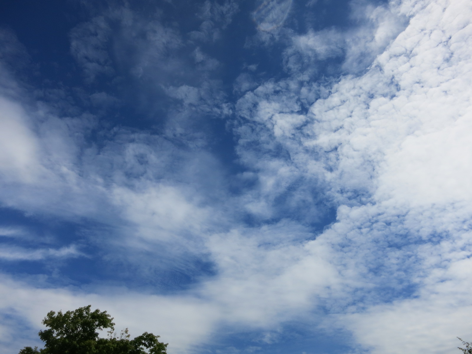 f0236260_1855961.jpg