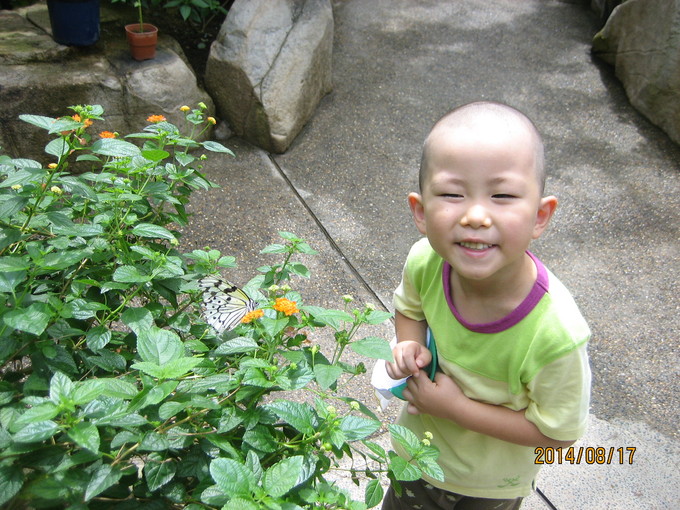 f0043861_11561676.jpg