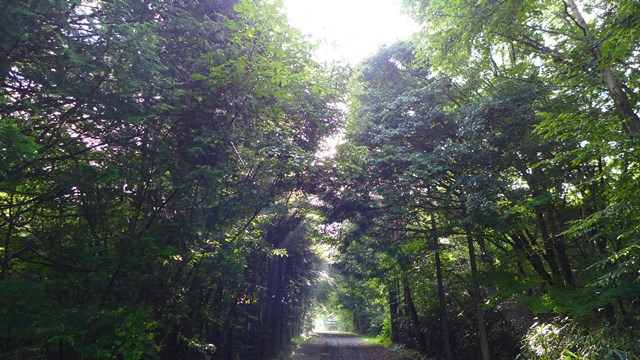 c0134862_23473053.jpg